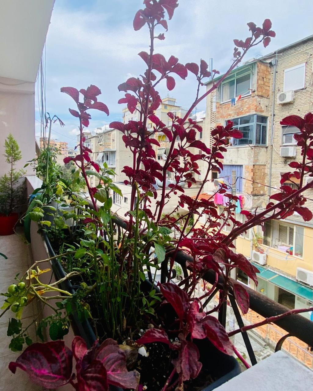 Apartment Тирана Екстериор снимка